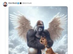 E’ morto Kabosu, il ‘cane dei meme’: il messaggio di Elon Musk