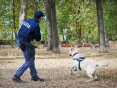 Empoli, poliziotto a spasso col cane scopre oltre 2 etti di cocaina
