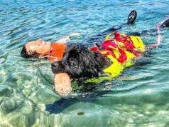 Estate, Sics: “Cani salvataggio pronti a tuffarsi per sicurezza spiagge italiane e laghi”