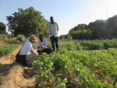 Fiere: il 15 maggio a Fiera Roma al via Codeway Expo