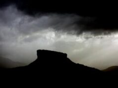 Fuggito ai nazisti a 10 anni vivendo da solo nel bosco, la storia di Maxwell