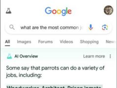 Google, nuovi problemi con l’IA: suggerisce di mettere la colla sulla pizza