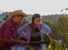 Il caffè inquina? La soluzione “in grani” di una start up spagnola