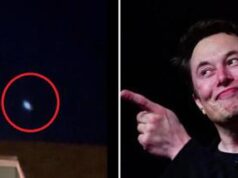 L’Ufo, l’Ucraina e Elon Musk: il mistero vola sui social