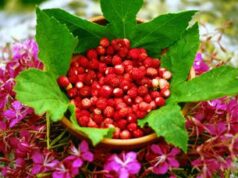 Le ‘fragolare’ di Nemi danzano tra la folla, flash mob a piazza di Spagna