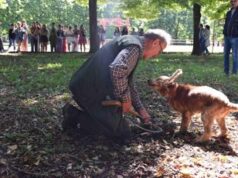 Leo, il cane cieco campione nella ricerca del tartufo: ecco la sua storia