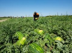 Caldo, in Calabria stop al lavoro nei campi e nei cantieri nelle ore a rischio