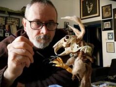 Cartoons on the bay, l’arte di Bessoni: “Io anima nera del Festival”