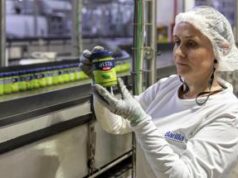 Come nasce il pesto Barilla, basilico 100% da agricoltura sostenibile ingredienti di qualità e il Metodo Delicato