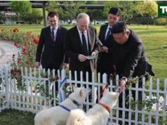 Due cani per Putin, Kim regala una coppia di Pungsan al leader russo