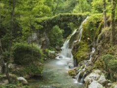 Ecocidio, Avs propone reato per chi danneggia ambiente, da 12 a 20 di reclusione