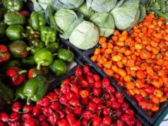 Intelligenza artificiale e agricoltura, una scelta sostenibile