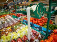 La filiera della bioplastica compostabile, numeri e ostacoli alla crescita