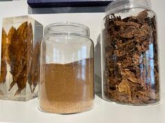 La rivincita dello ‘snus’, orgoglio svedese che ha fatto calare consumo sigarette ma resta fuori dall’Ue