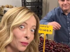 Meloni e le ciliegie, Renzi e la figlia: leader a valanga sui social per le Europee – Video