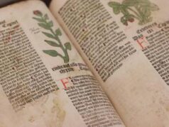 Risolto il mistero del ‘Manoscritto di Voynich’