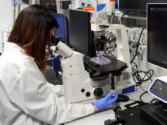 Scoperto Mytho, il nuovo gene anti-età