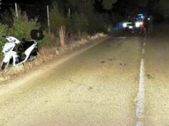 Si schianta in scooter contro un cervo, turista milanese muore nel Cagliaritano