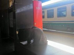 Uccidono cane di un clochard a Ponte Galeria: ecco cosa rischiano