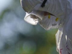 Aviaria, virus attivo per ore su attrezzi da mungitura: “Rischio contagio”