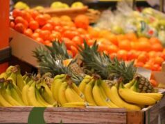 Malattia di Crohn, la nutrizionista: “L’alimentazione è parte della cura”