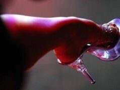 Stretta sul porno online, scatta obbligo verifica maggiore età per accedere a 48 siti web