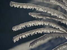 Maltempo in Italia: neve, vento e freddo intenso in arrivo meteo neve