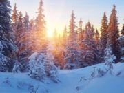 21 dicembre, ecco perché il solstizio d’Inverno è il giorno più corto dell’anno