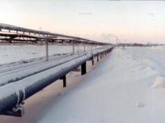 Gas, Arera: in 2024 record consumi mondiali, +1,4% produzione