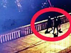 Lancio della bici ai Murazzi di Torino: chiesti 16 anni per Victor Ulinici lancio bici murazzi torino