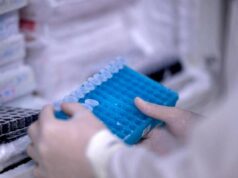 Scoperto il virus gigante Ushikuvirus, lo studio: “Può darci indizi su origine della vita”