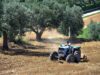 Agricoltura: aperta misura ‘Generazione Terra’ di Ismea, 120 milioni a giovani per acquisto terreni