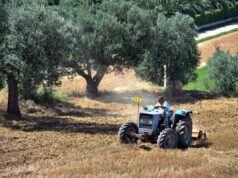 Agricoltura: aperta misura ‘Generazione Terra’ di Ismea, 120 milioni a giovani per acquisto terreni