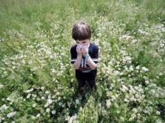 Allarme allergie, con la crisi climatica durano 45 giorni in più. Ecco il decalogo anti starnuto