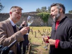 Arriva l’archeo-vino, tra i ruderi di Pompei alleanza tra viticoltura e storia