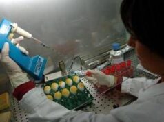 Aviaria, l’allarme: “C’è rischio che diventi pandemia come il Covid”