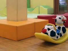 Bimbo di un anno muore in asilo nido, tragedia a Parma