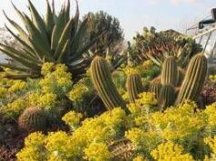 L’ Università di Roma Tor Vergata apre orto botanico a scuole e cittadini per esperienza sostenibile