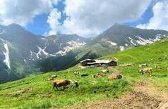 Made in Italy, Trentingrana: 2024 e primi mesi 2025 positivi, ma su futuro incognite effetti indiretti dazi