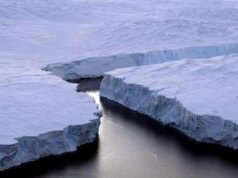 Marzo 2025 “il secondo più caldo della storia”