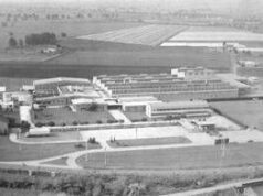 Agroalimentare, pisellini primavera Findus compiono 60 anni