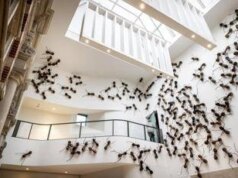 Arriva la primavera e spuntano le formiche, ecco come trovarle ed eliminarle