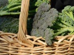 Broccoli superfood anti-aging, tutti i segreti svelati dall’immunologo-nutrizionista