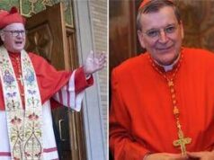Conclave, Burke e Dolan: l’ombra di Trump sulla scelta del nuovo Papa?