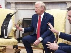 Dazi, perchè Trump tassa foche e pinguini? La versione Usa