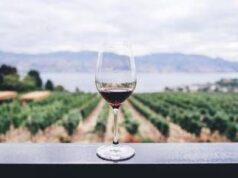 Dazi, tra timori e nuove strategie, dal mondo del vino le testimonianze dei Consorzi da Nord a Sud