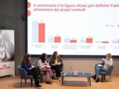 Survey, italiani attenti a benessere di cani e gatti ma tanti falsi miti