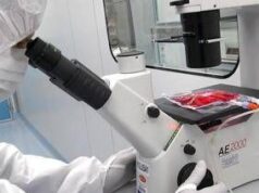 Tumori, in 5 anni di Car-T curati 1.800 italiani: “Il viaggio continua destinazione futuro”