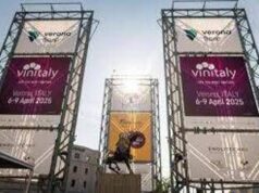 Vinitaly, Ismea: “Vino ruolo di punta sui mercati, in 10 anni +50% valore export”