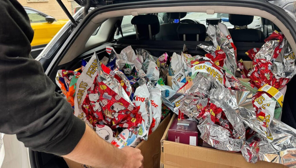 pasqua donazione torino pasqua donazione torino